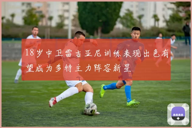 18岁中卫雷吉亚尼训练表现出色有望成为多特主力阵容新星